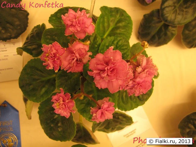 Candy Konfetka