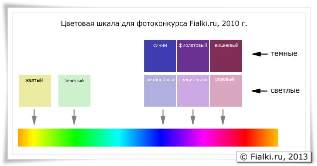 Цветовая шкала для фиалок