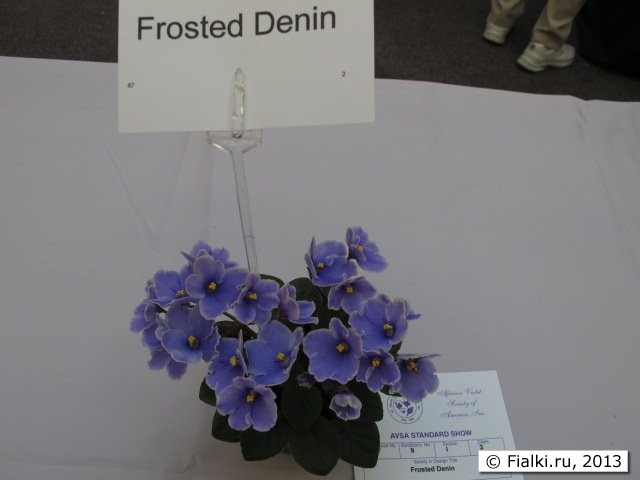 Frosted Denin