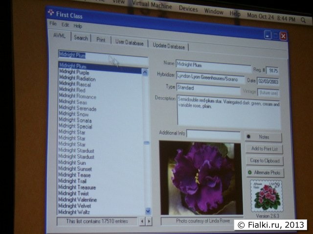 program 7