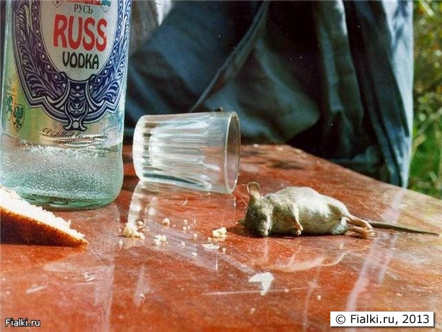 Бороба с вредителями