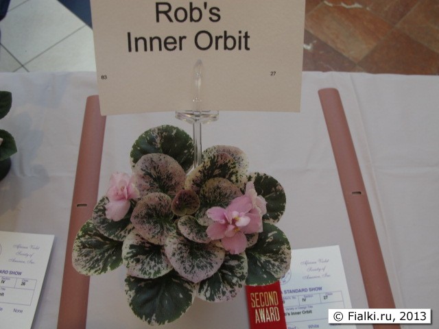 Rob's Inner Orbit