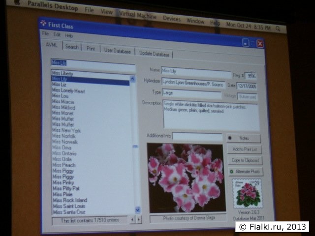 program 3