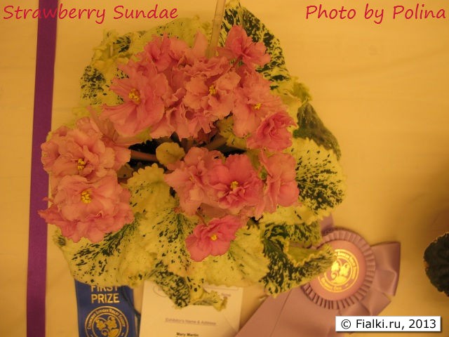 Strawberry Sundae