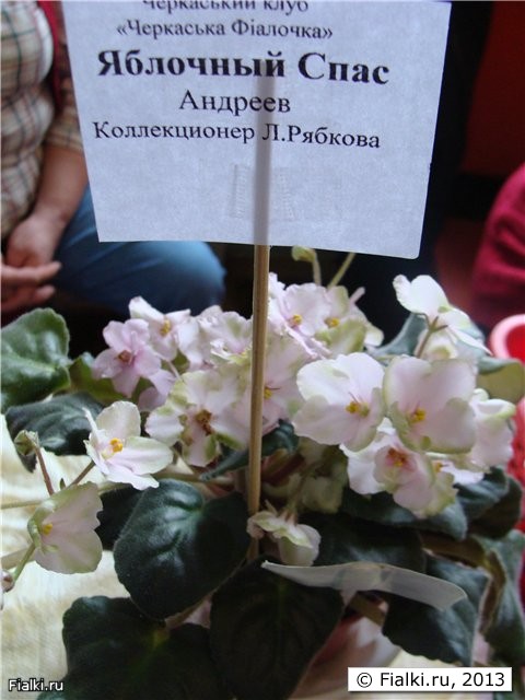 Яблочный Спас