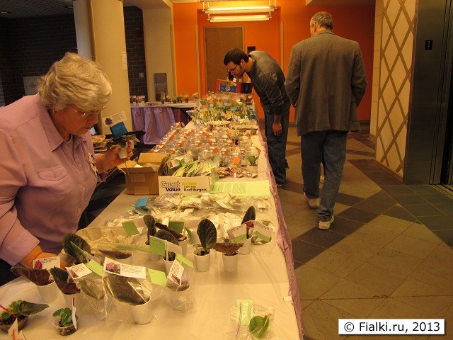 sale room