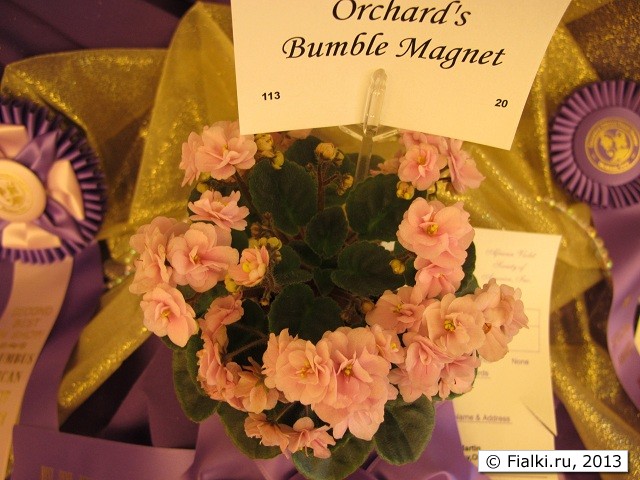 Orchard's Bumble Magnet