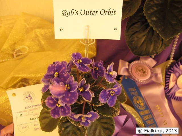 Rob's Outer Orbit