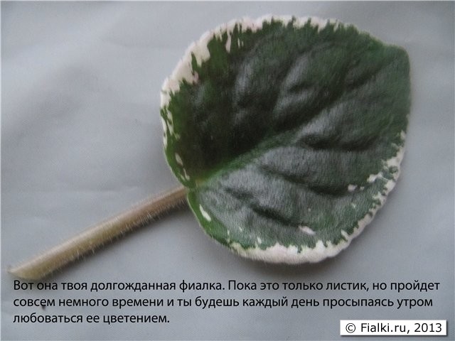 Упаковка