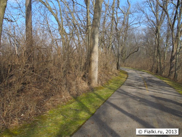 trail