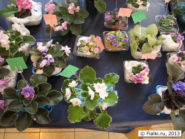 sale table