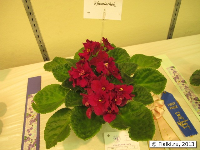 plant