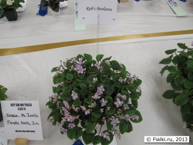plant