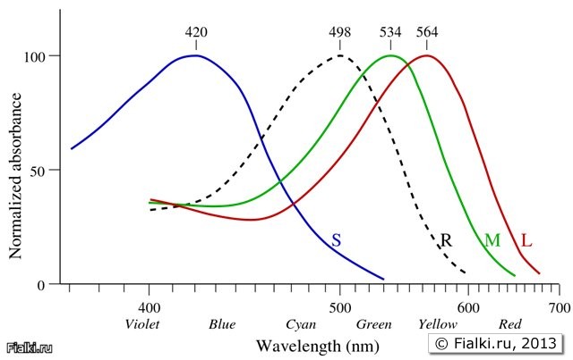 Кривые восприятия цветов глаза человека