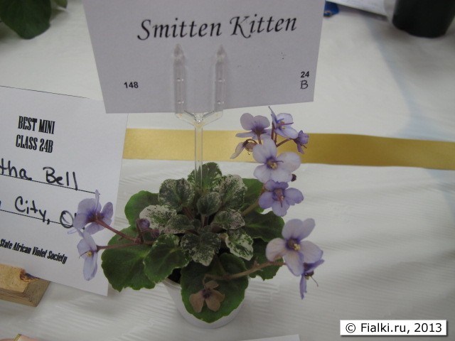 plant