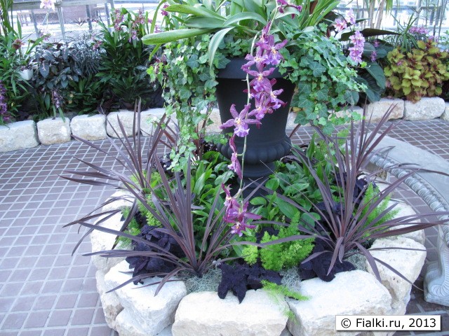 flower bed
