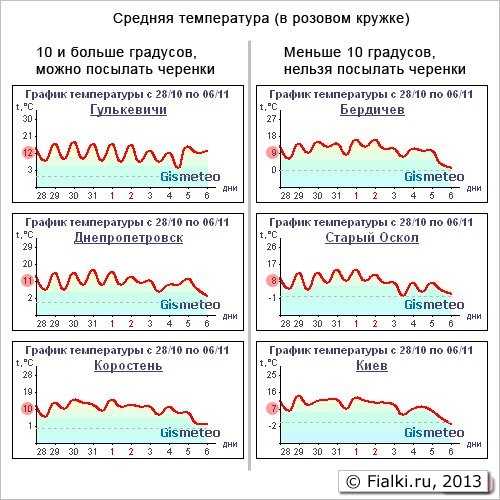 Линия жизни, средняя температура 10 градусов по Цельсию
