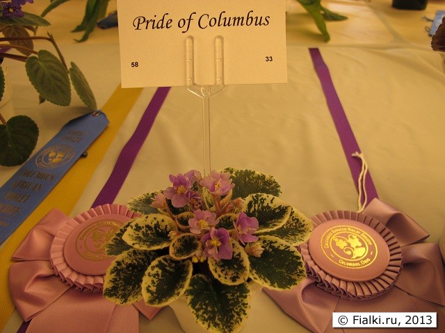 Pride of Columbus