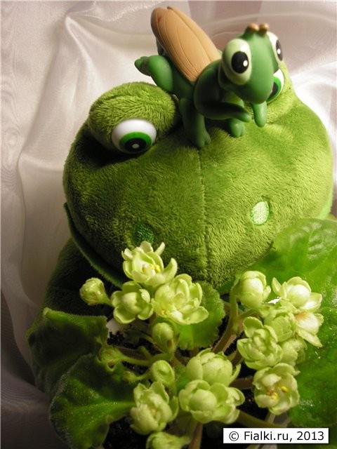 Emerald Love