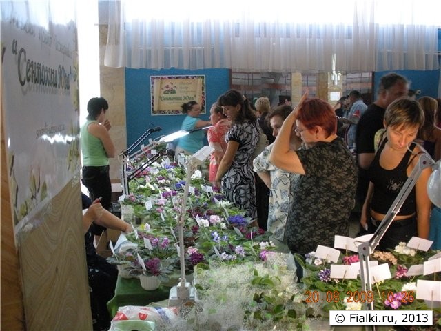 Выставка "Золоты Ручки 2010"