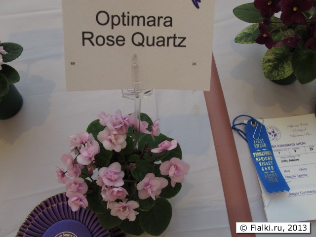 Optimara Rose Quartz