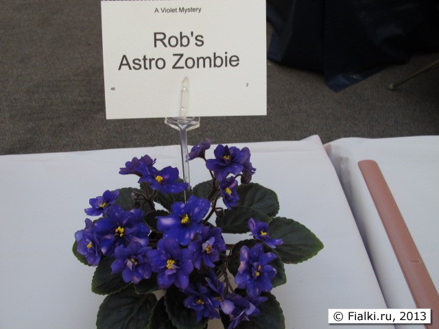 Rob's Astro Zombie