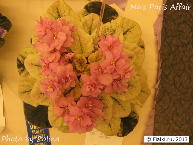 Ma's Paris Affair