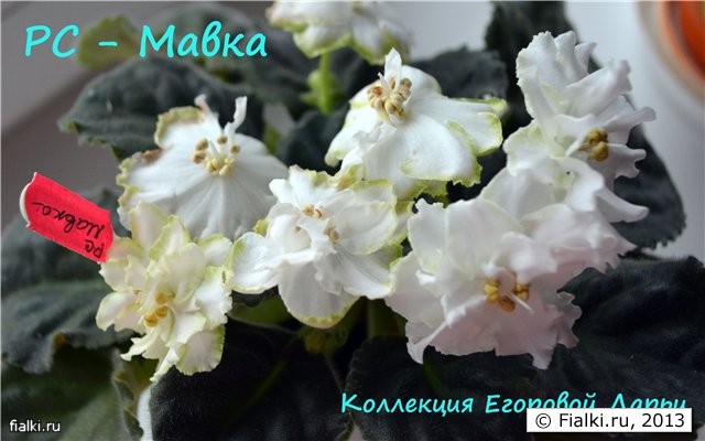 мавка