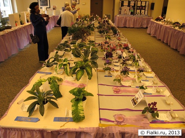 Show table