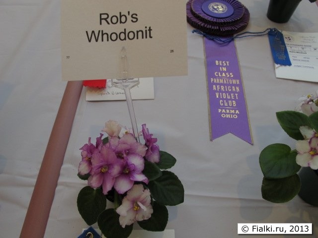 Rob's Whodonit