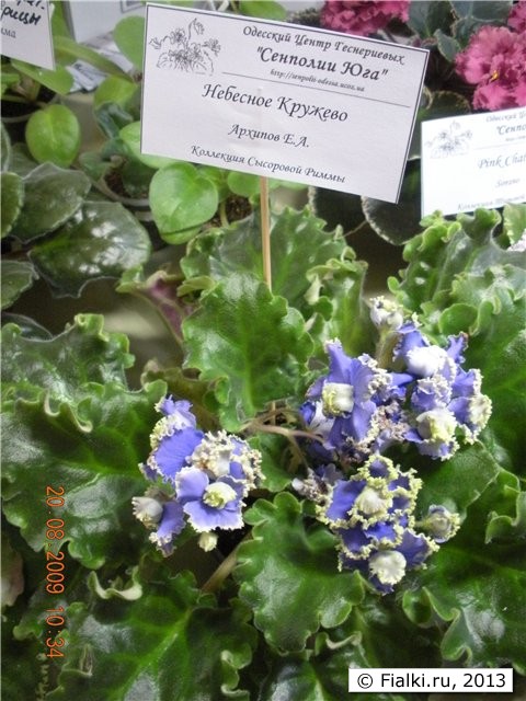 Выставка "Золоты Ручки 2010"