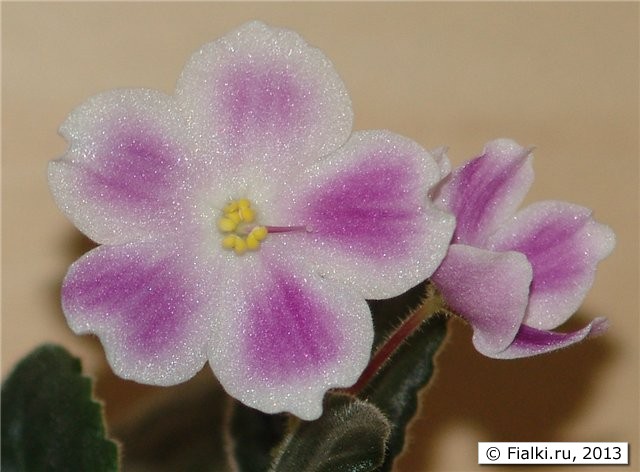 №3