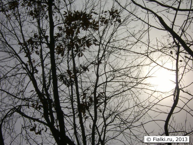 sky