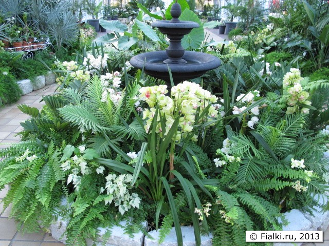 flower bed
