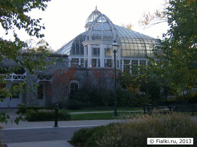 green house 1