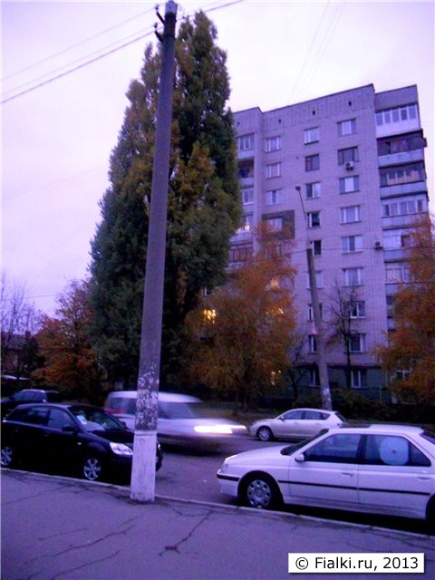 осенний вечер