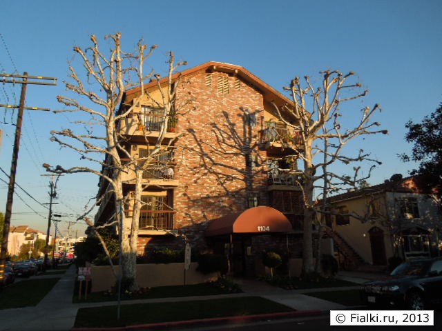 tree