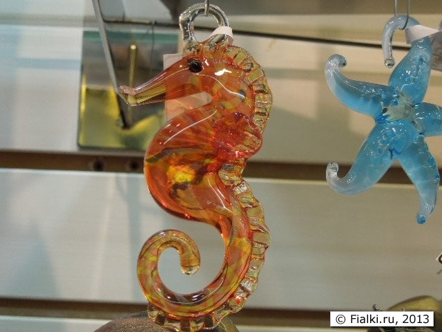 sea horse