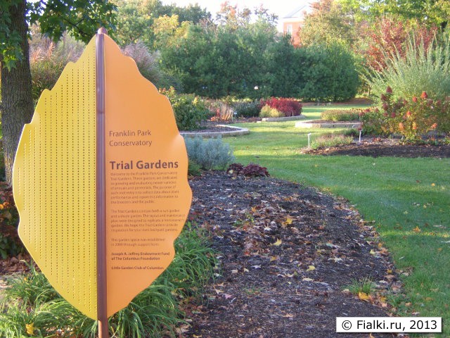 leaf sign
