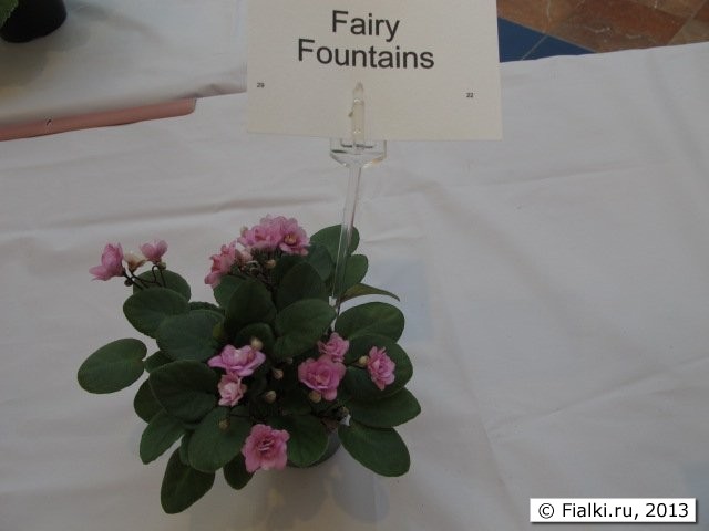 Fairy Fountains