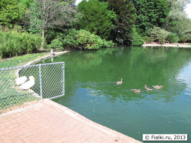 park