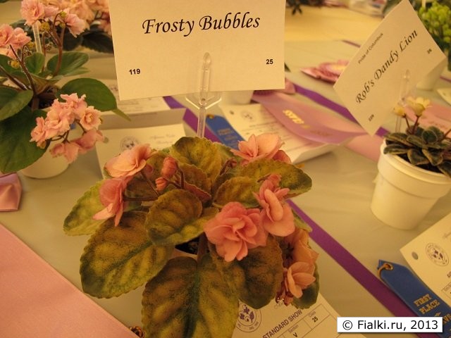 Frosty Bubbles