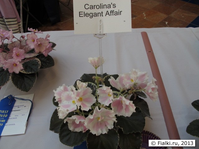 Carolina's Elegant Affair