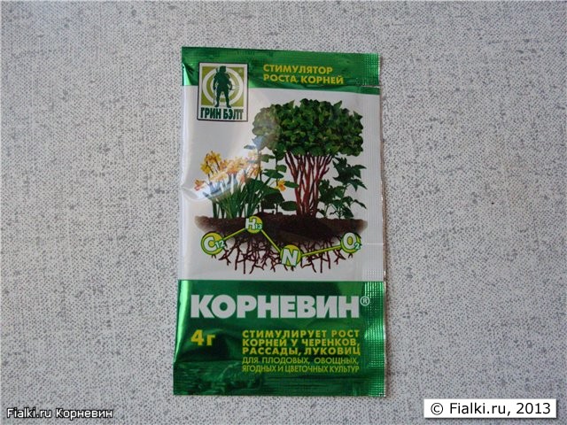 Корневин