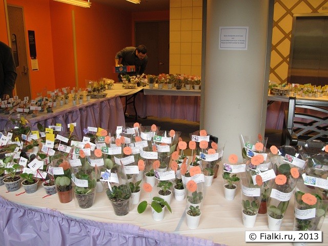 sale room