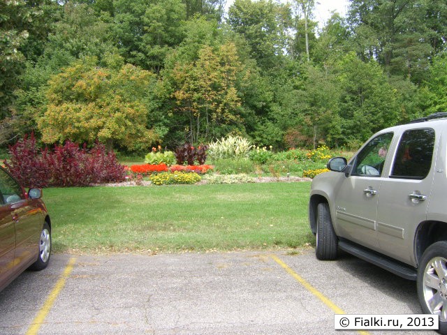 parking