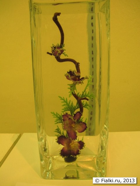 design