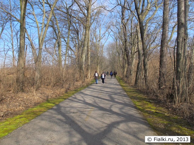 trail