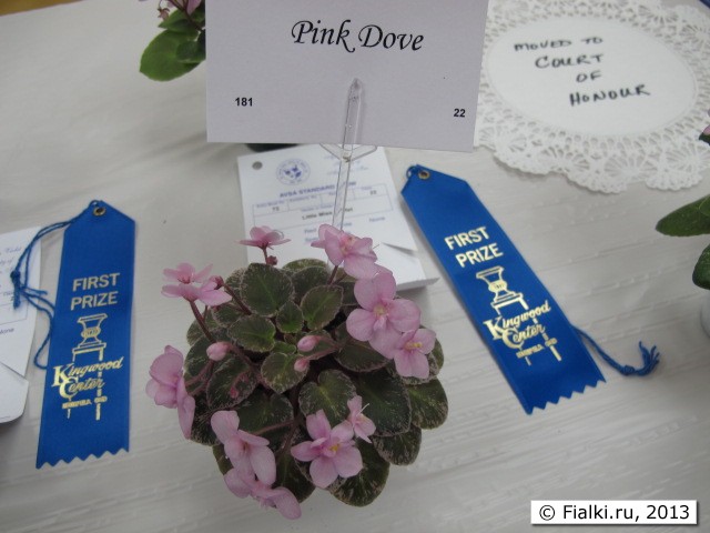 plant