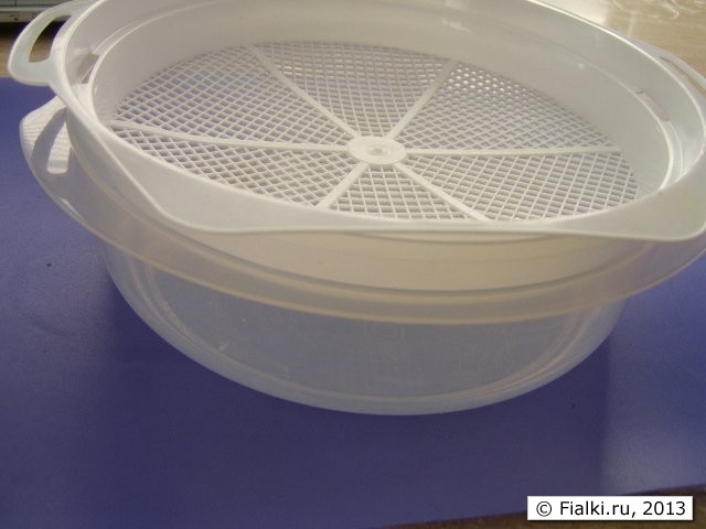shalow pot 2